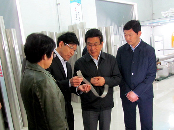 省委副书记 代省长林铎携市委班子来我司调研1